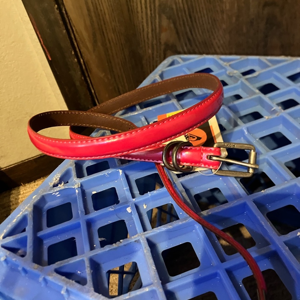 Roxy skinny Pink Belt